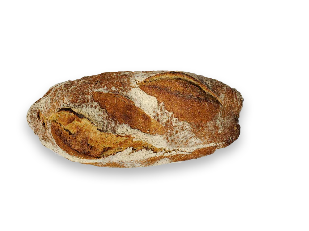 Pains au levain